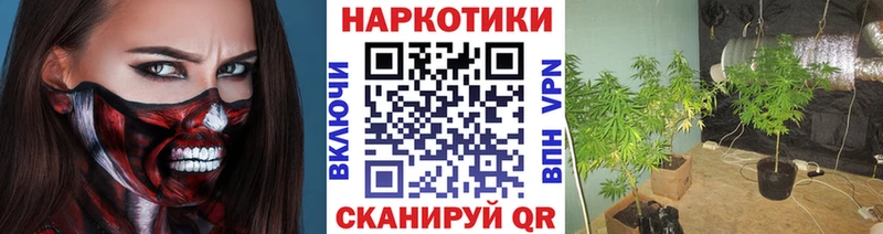 Магазины продажи наркотиков Алушта АМФЕТАМИН  Бошки Шишки  OMG вход  Альфа ПВП  Мефедрон  Гашиш  КОКАИН 