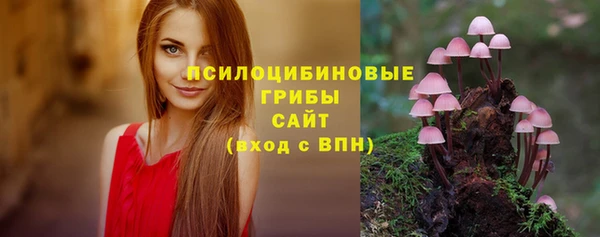 гидропоника Алексин