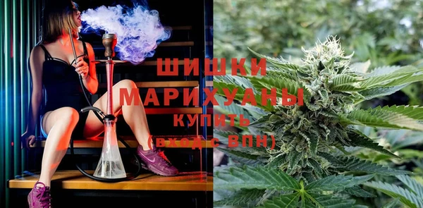 PSILOCYBIN Алзамай