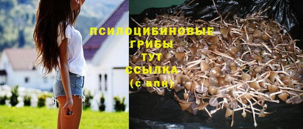 марки nbome Алексеевка
